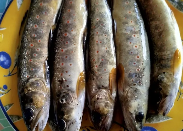 Prázdninový dům Lou Camparol Saint-Maurice-de-Ventalon